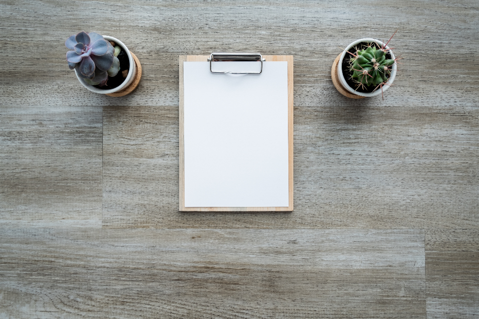 Blank clipboard on a wooden table between two small plants